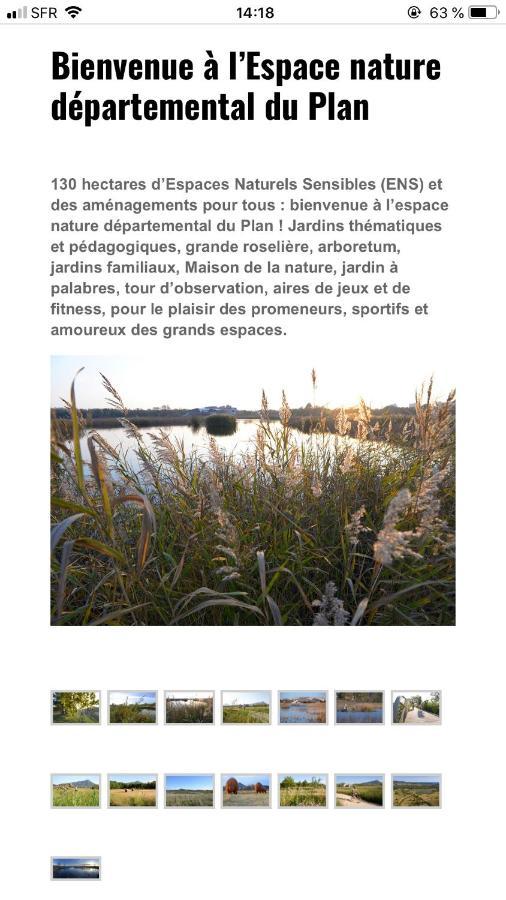 Maison "Les Vignes" Le Pradet Kültér fotó